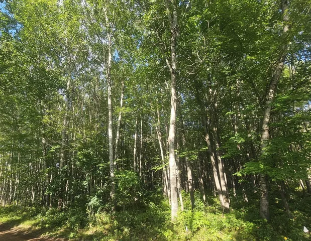 $33,500 | Lot 4 Ken Can Lane, Webster, WI 54893