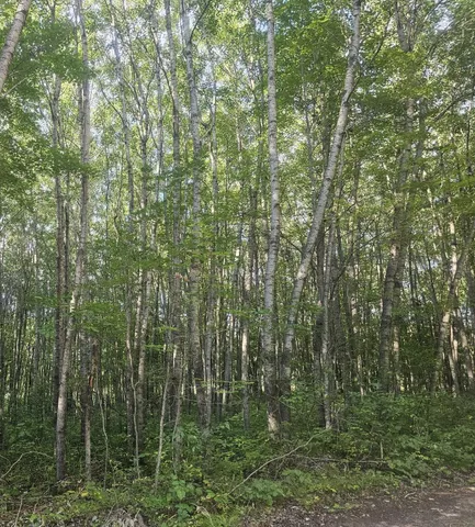 $33,500 | Lot 4 Ken Can Lane, Webster, WI 54893