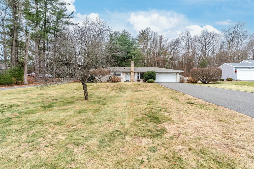 411 Forest Hills Road Springfield, MA 01128 - Photo 2 of 26 a swimming pool with some trees in the background