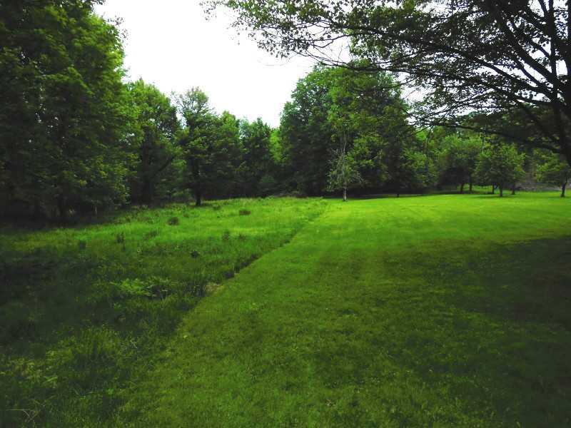 331 Golden City Road Saxonburg, PA 16056 - Photo 3 of 6 Land/Lot. View of Property Lines to Left, Outlined inTrees for Privacy, cleared middle portion, and slightly wooded in front