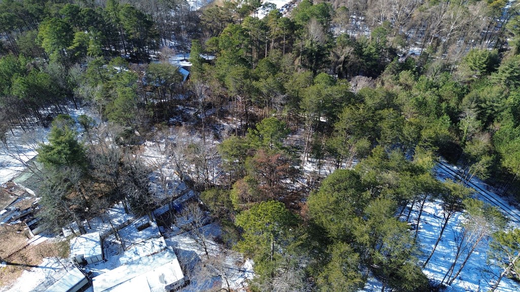 1.95-ac Kyle Road Blue Ridge, GA 30513 - Photo 6 of 15 Gallery Image 6