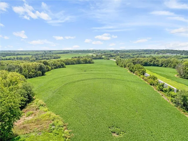 $956,670 | 14625 Shady Lane, Wellington, MO 64097