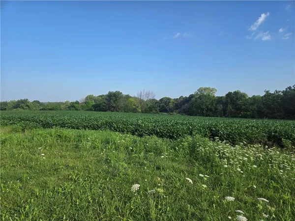 $956,670 | 14625 Shady Lane, Wellington, MO 64097
