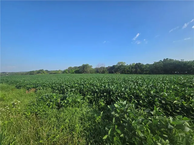 $956,670 | 14625 Shady Lane, Wellington, MO 64097