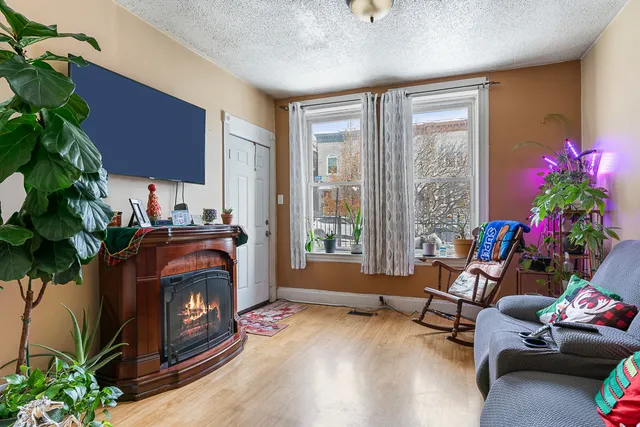 a living room with furniture and a potted plant