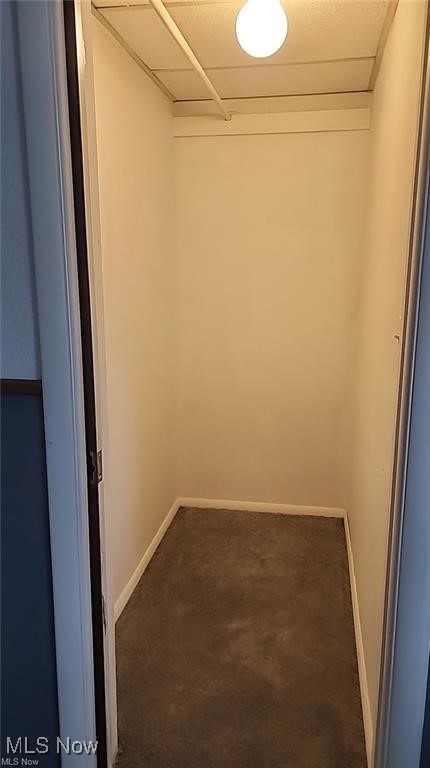 23621 Colbourne Road Euclid, OH 44123 - Photo 17 of 45 Walk in closet with dark colored carpet