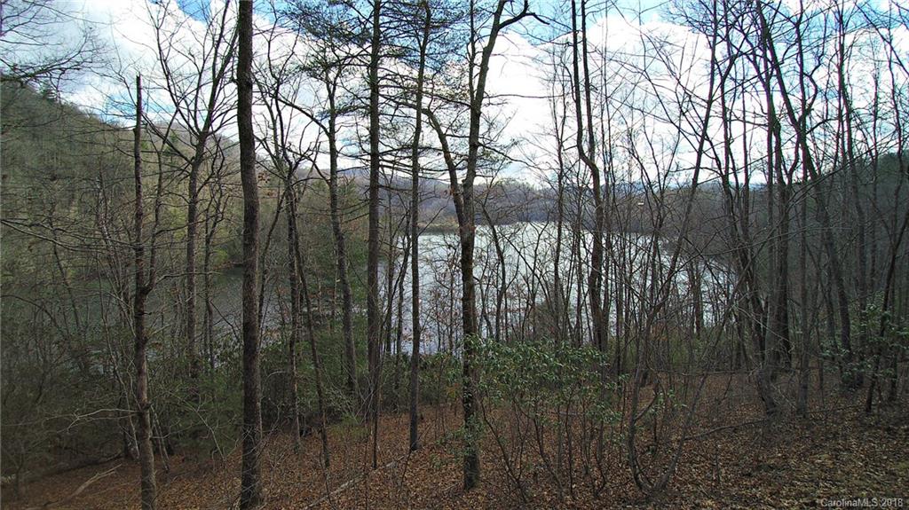 0 Wolf Lake Road Tuckasegee, NC 28783 - Photo 2 of 19 Gallery Image 2