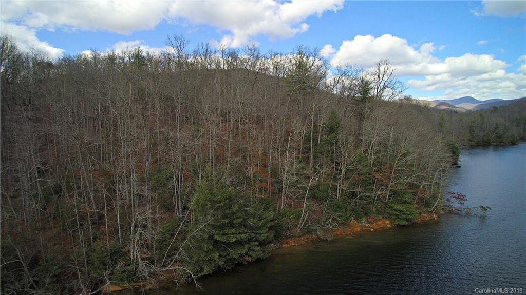 0 Wolf Lake Road Tuckasegee, NC 28783 - Photo 11 of 19 Gallery Image 11
