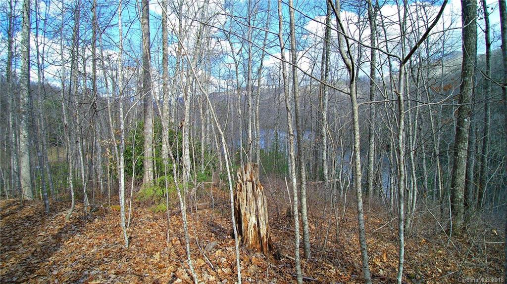0 Wolf Lake Road Tuckasegee, NC 28783 - Photo 14 of 19 Gallery Image 14