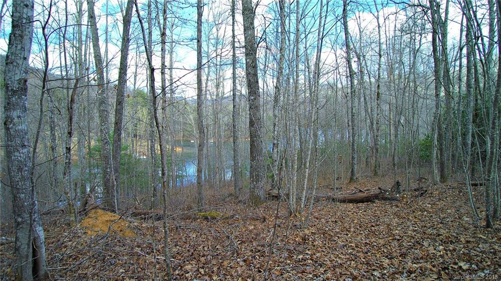 0 Wolf Lake Road Tuckasegee, NC 28783 - Photo 15 of 19 Gallery Image 15