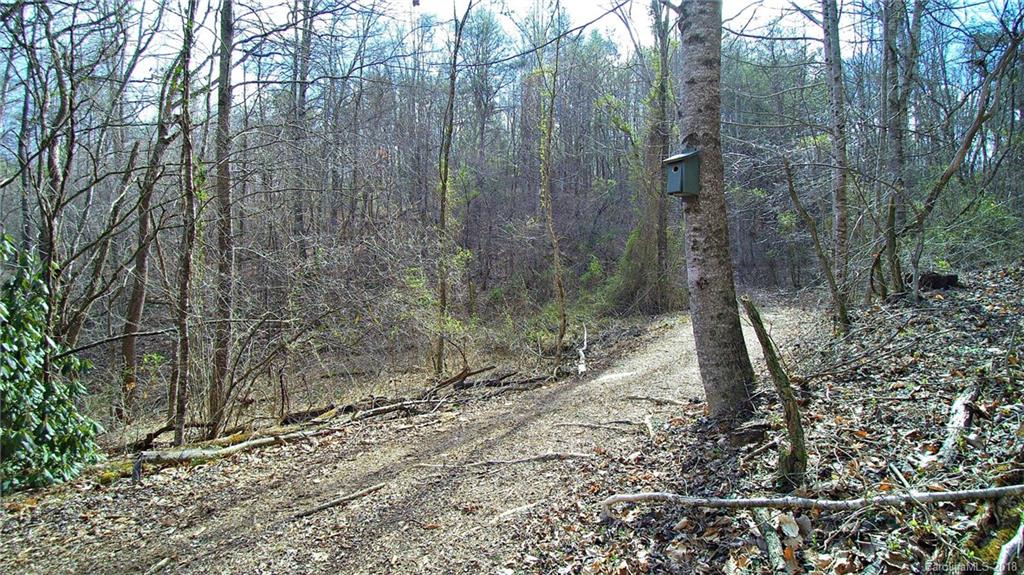 0 Wolf Lake Road Tuckasegee, NC 28783 - Photo 16 of 19 Gallery Image 16