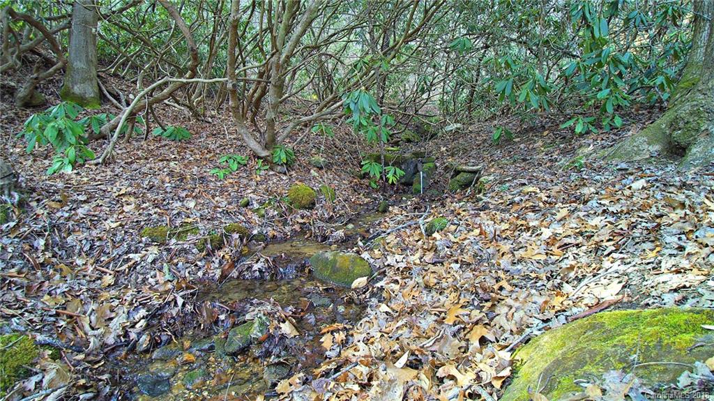 0 Wolf Lake Road Tuckasegee, NC 28783 - Photo 17 of 19 Gallery Image 17