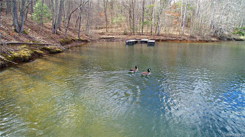 0 Wolf Lake Road Tuckasegee, NC 28783 - Photo 10 of 19 Gallery Image 10