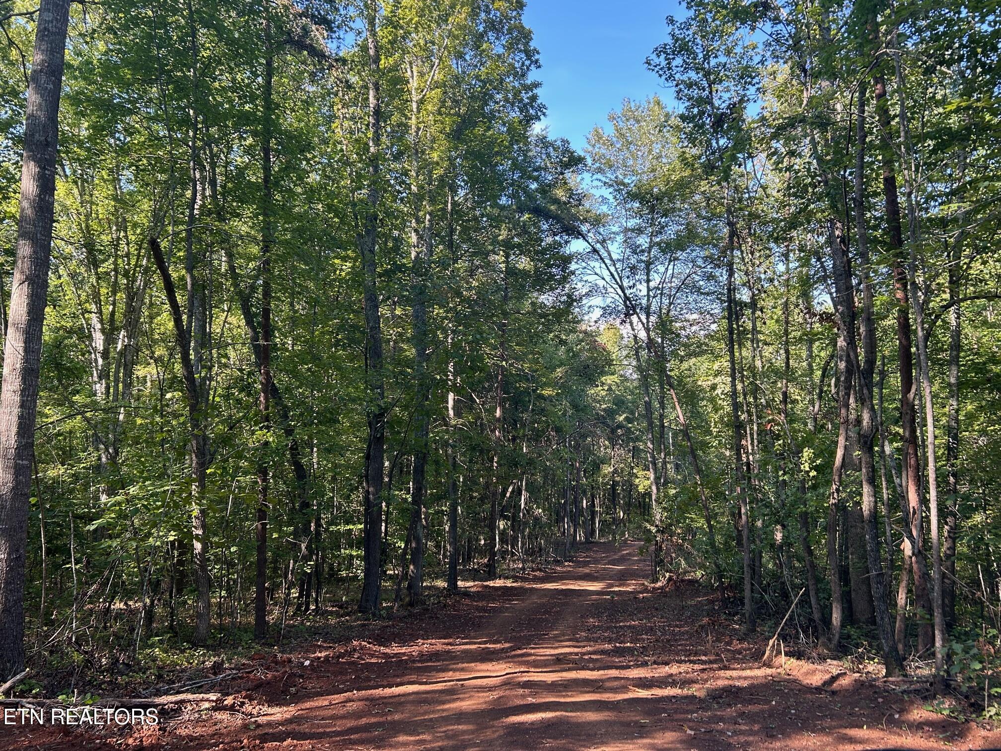 7 Pleasant Hill Road Ten Mile, TN 37880 - Photo 15 of 27 PH 7 4