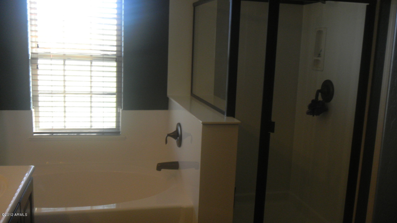 3256 East Patrick Street Gilbert, AZ 85295 - Photo 11 of 22 Master Bath