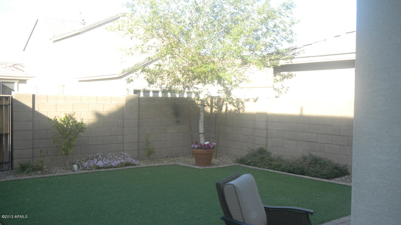 3256 East Patrick Street Gilbert, AZ 85295 - Photo 3 of 22 Backyard