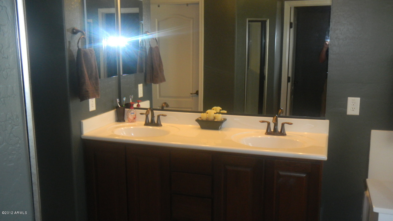 3256 East Patrick Street Gilbert, AZ 85295 - Photo 10 of 22 Master Bath