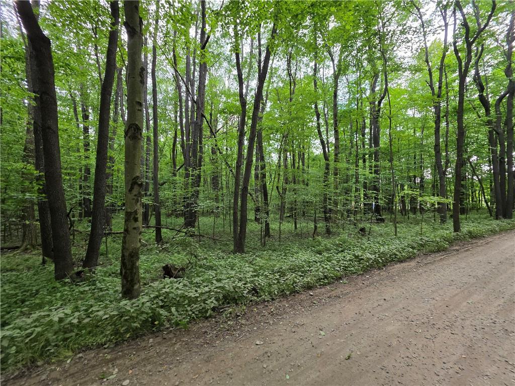 0 Silvis Road Homer City, PA 15748 - Photo 7 of 13