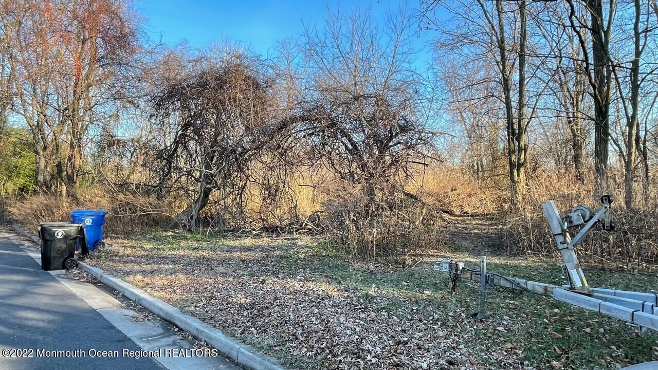 0 End Avenue Middletown, NJ 07748 - Photo 2 of 3 a view of a park with large trees