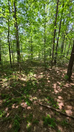 $15,000 | Muddy Ridge Road, Louisa, KY 41230