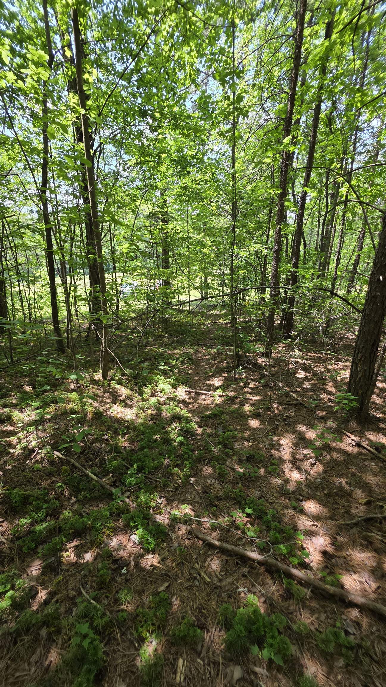 Muddy Ridge Road Louisa, KY 41230 - Photo 1 of 1
