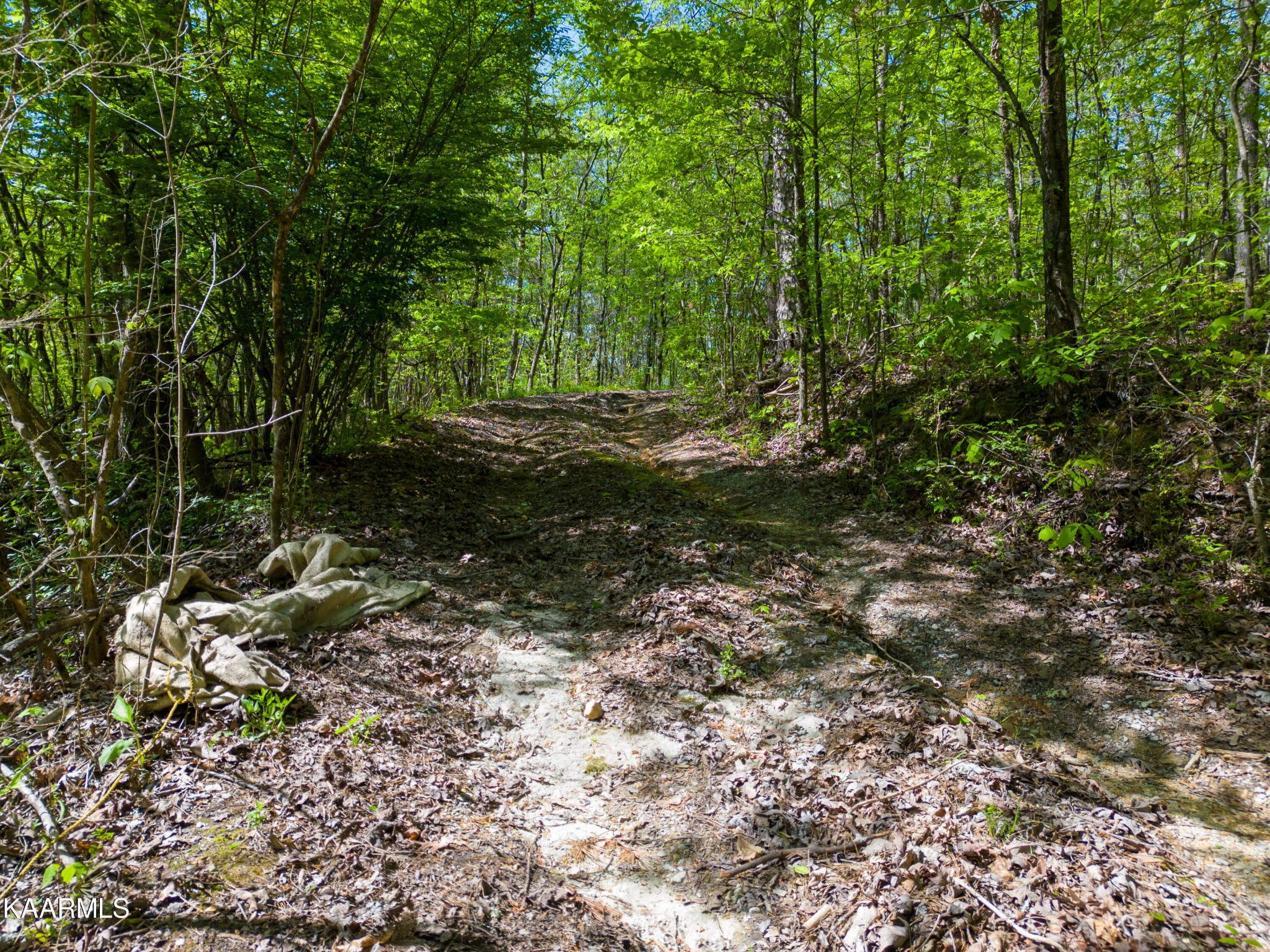 211 Fred Davis Jr Road Harriman, TN 37748 - Photo 1 of 11 Gallery Image 1