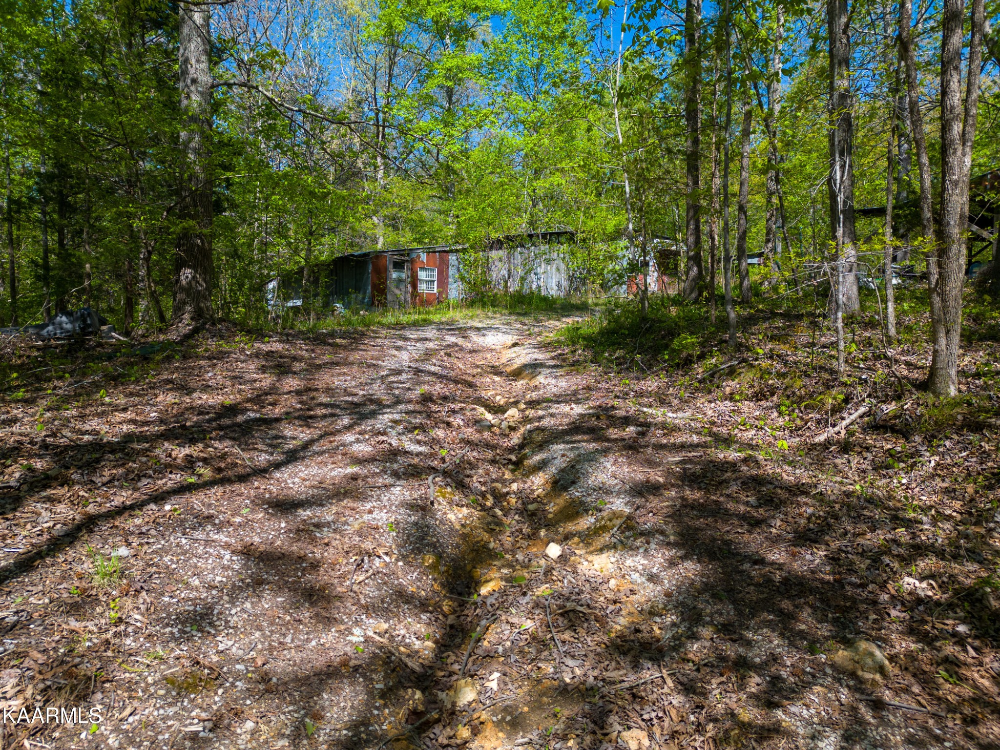 211 Fred Davis Jr Road Harriman, TN 37748 - Photo 2 of 11 Gallery Image 2