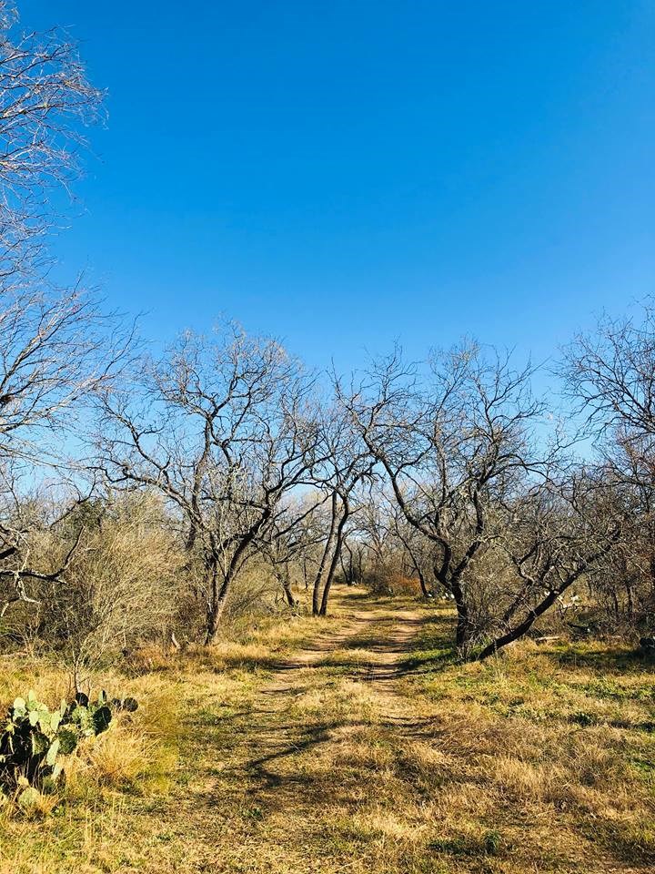 3920 Old Colony Line Road Lockhart, TX 78644 - Photo 1 of 1
