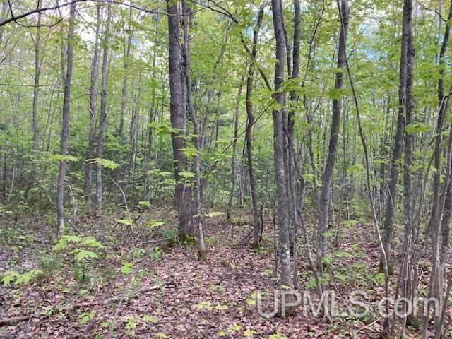 2 Boundary Road Chassell, MI 49916 - Photo 64 of 77
