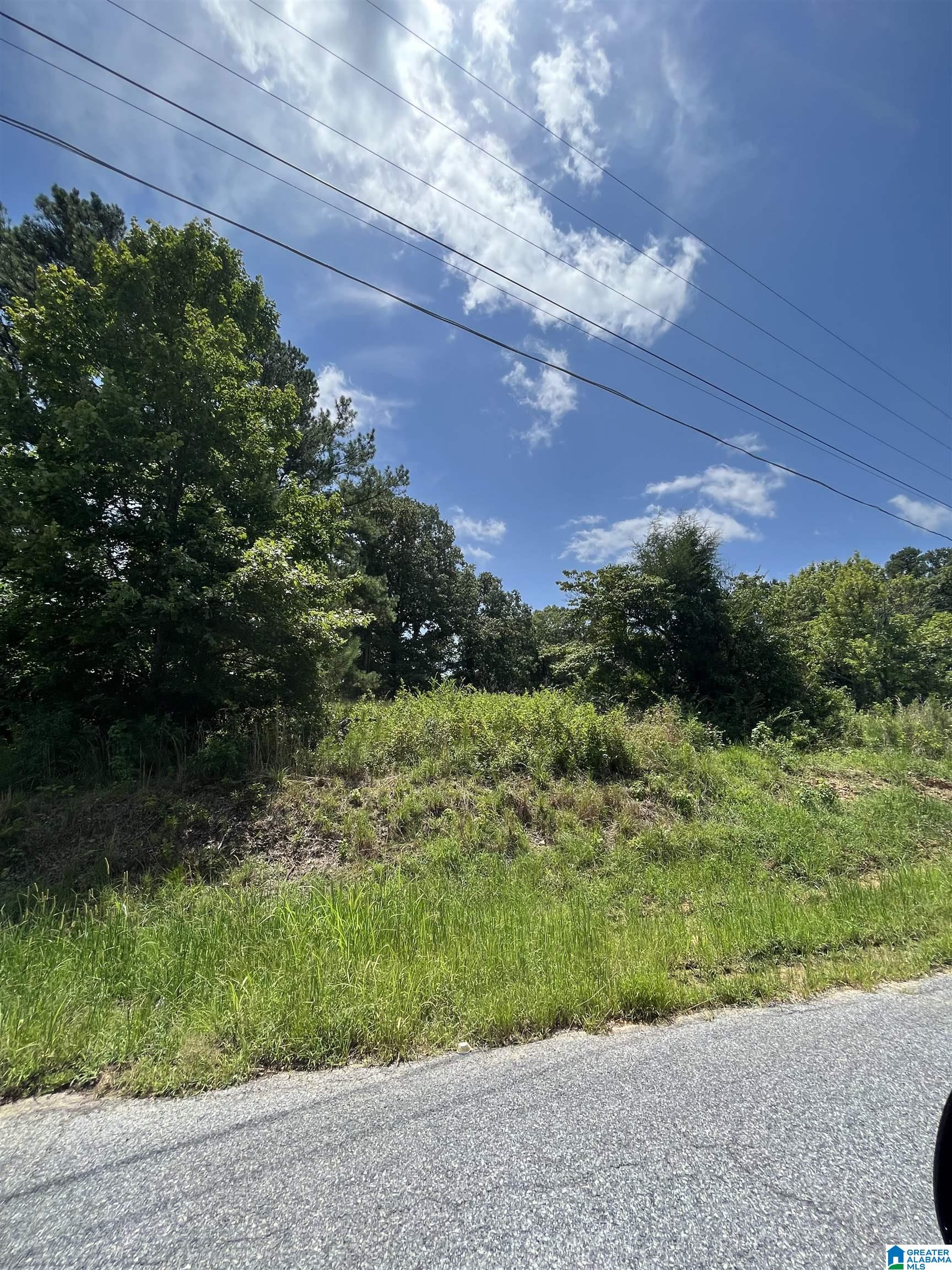 0 Meadow River Road, Unit 1 Talladega, AL 35160 - Photo 5 of 9