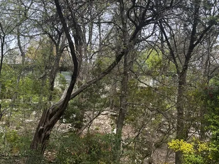 $990,000 | 1204 Yaupon Valley Road, West Lake Hills, TX 78746