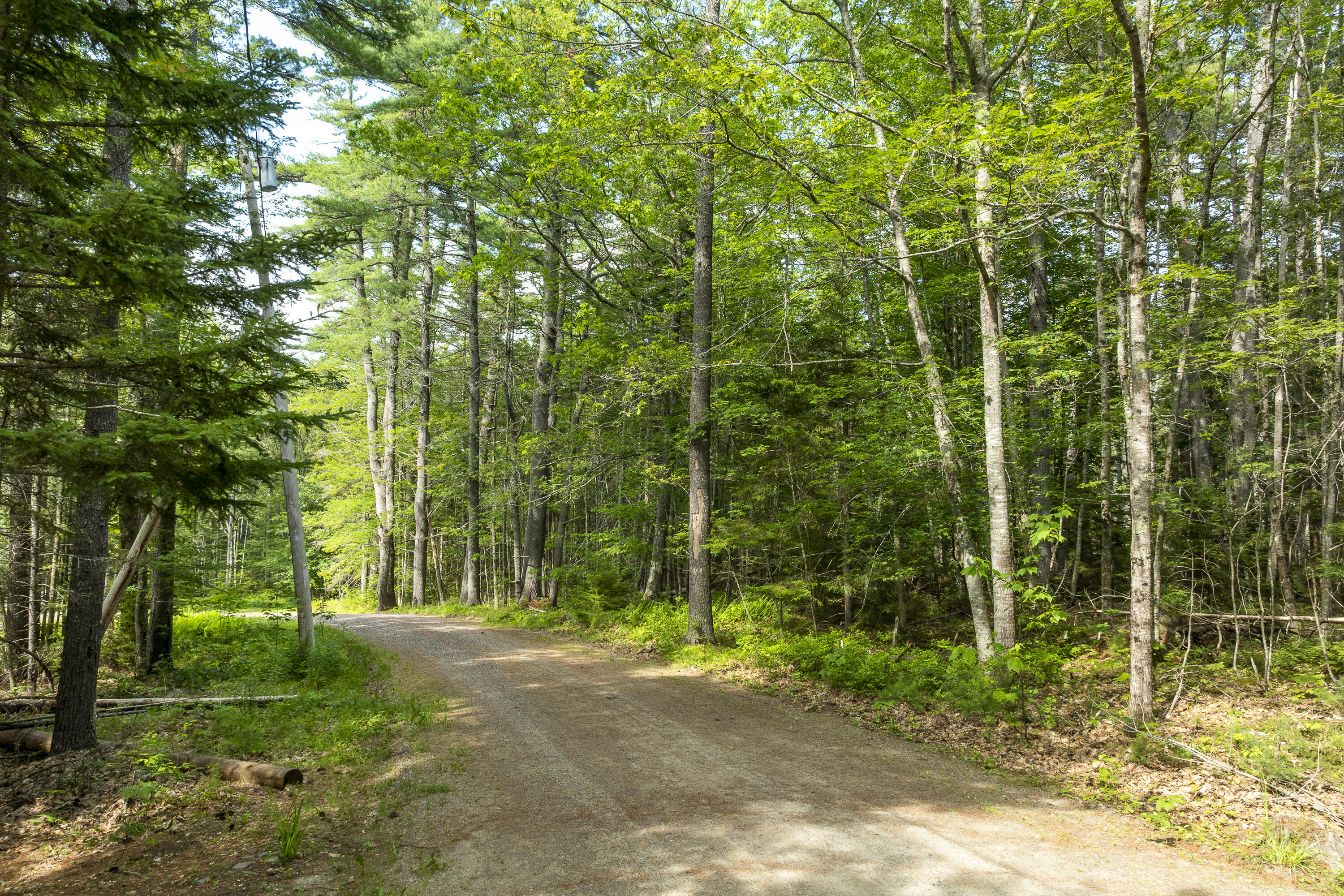 0 Private Drive Walpole, ME 04573 - Photo 8 of 14 13-00 Private Way, South Bristol, ME-TP
