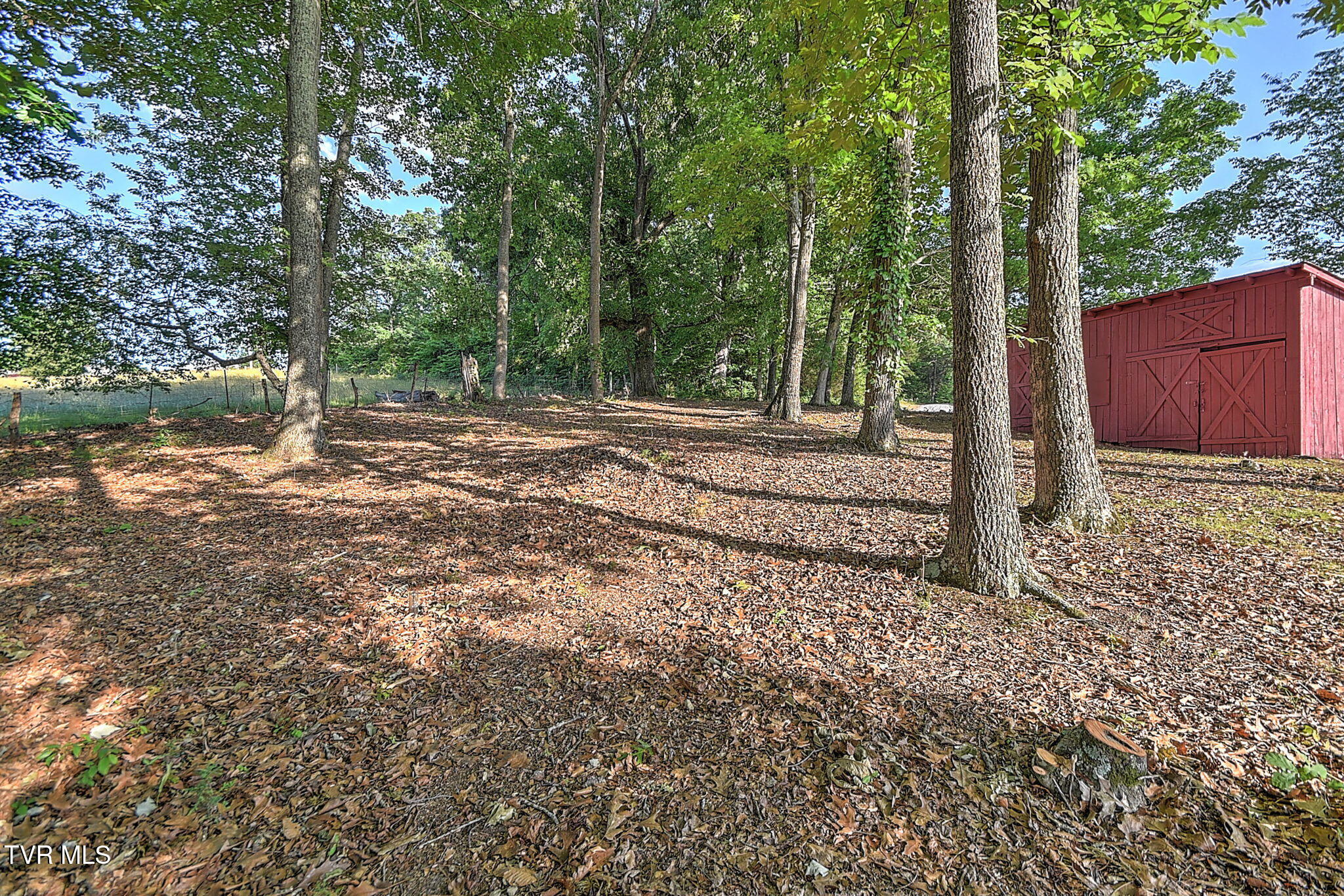 55 Short Road Chuckey, TN 37641 - Photo 42 of 73 42-web-or-mls-55 Short Rd CP-42