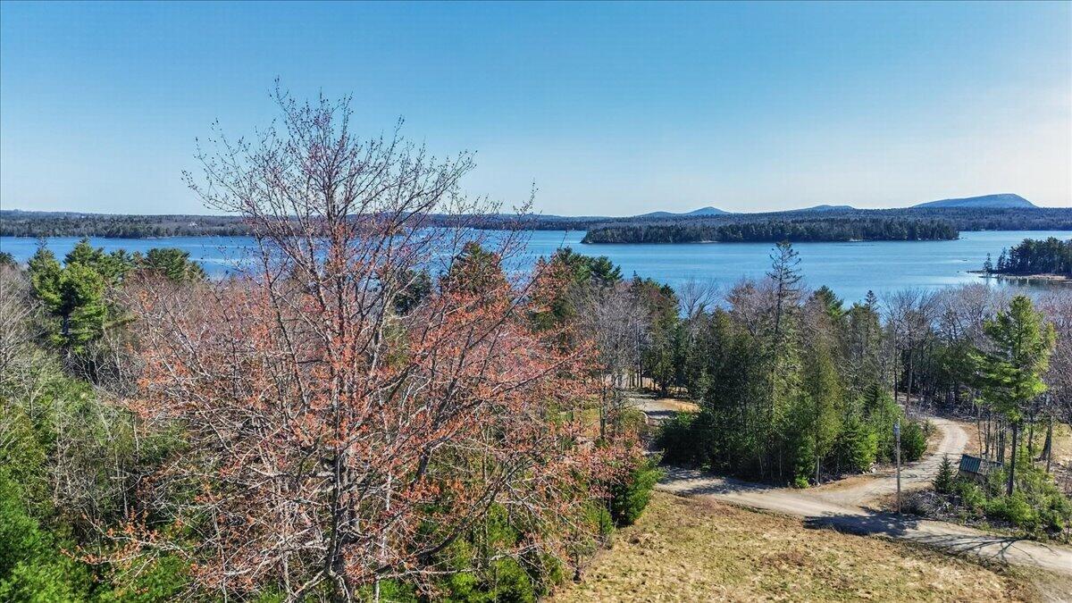 98-99 Landing Road South Hancock, ME 04640 - Photo 4 of 18 06-Settlers Dr. Hancock