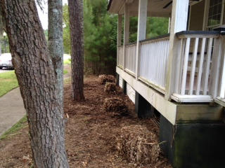 286 Madison Drive Georgetown, SC 29440 - Photo 2 of 10 Front Yard Post