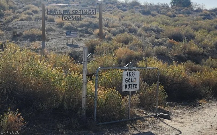 Gold Butte Road Bunkerville, NV 89007 - Photo 2 of 6