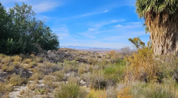 $4,800,000 | Gold Butte Road, Bunkerville, NV 89007