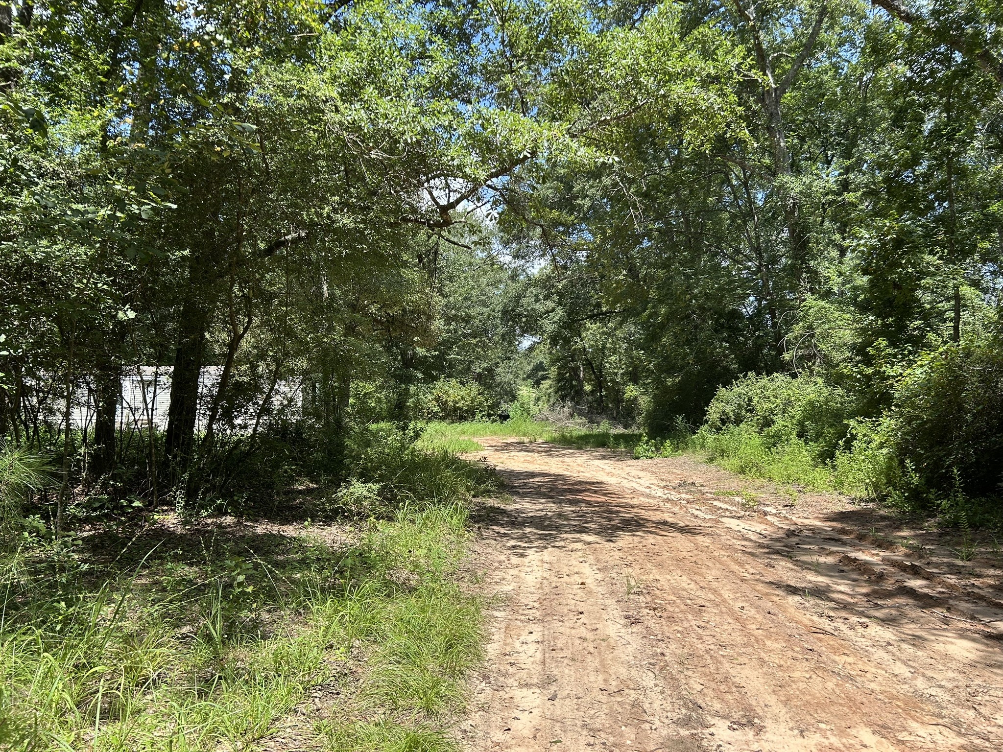 87 Townley Ranch Road Huntsville, TX 77320 - Photo 35 of 50