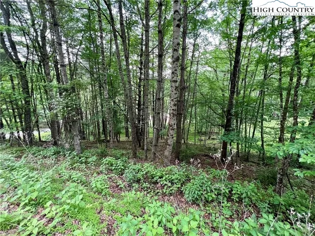 a view of outdoor space and green space