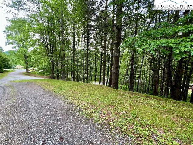 a big yard with lots of green space and trees