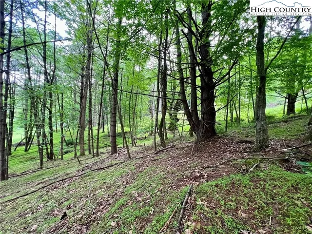 a view of outdoor space and green space