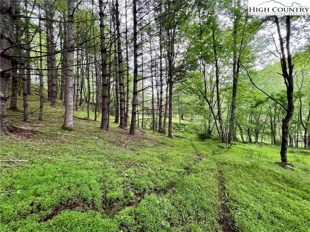 a view of outdoor space with trees all around