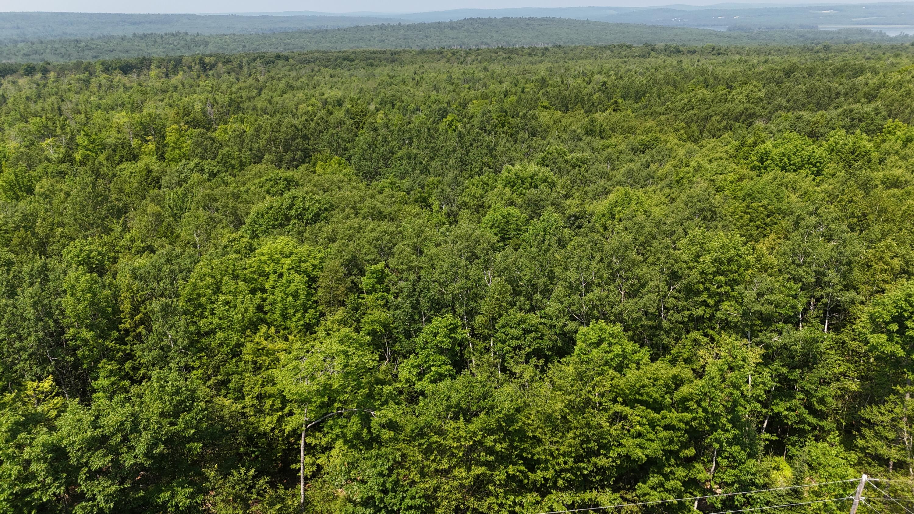 DJI_20250716110114_0916_D