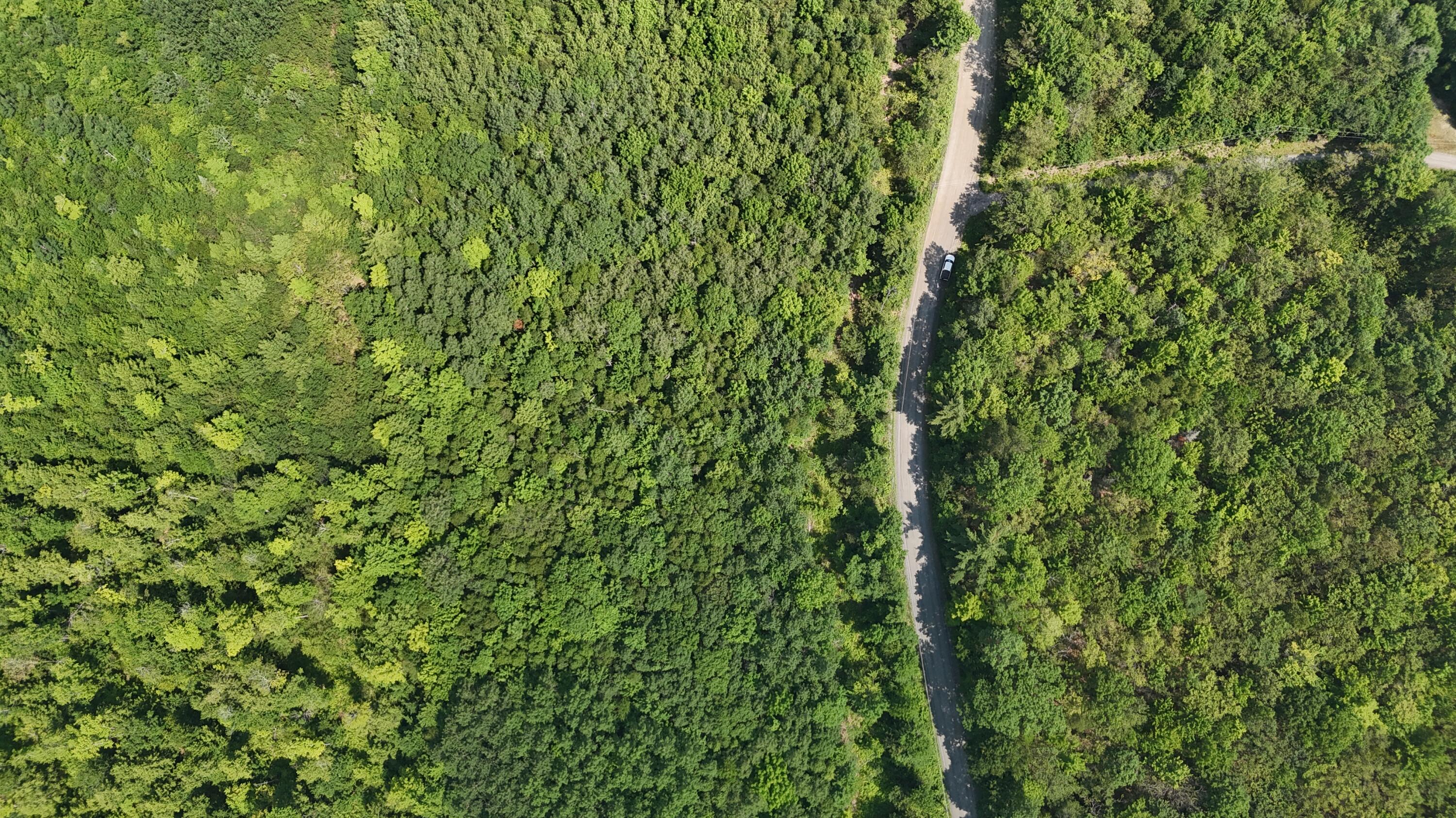 Lot 22-03 Vigue Road Hartland, ME 04943 - Photo 3 of 10 DJI_20250716110209_0919_D
