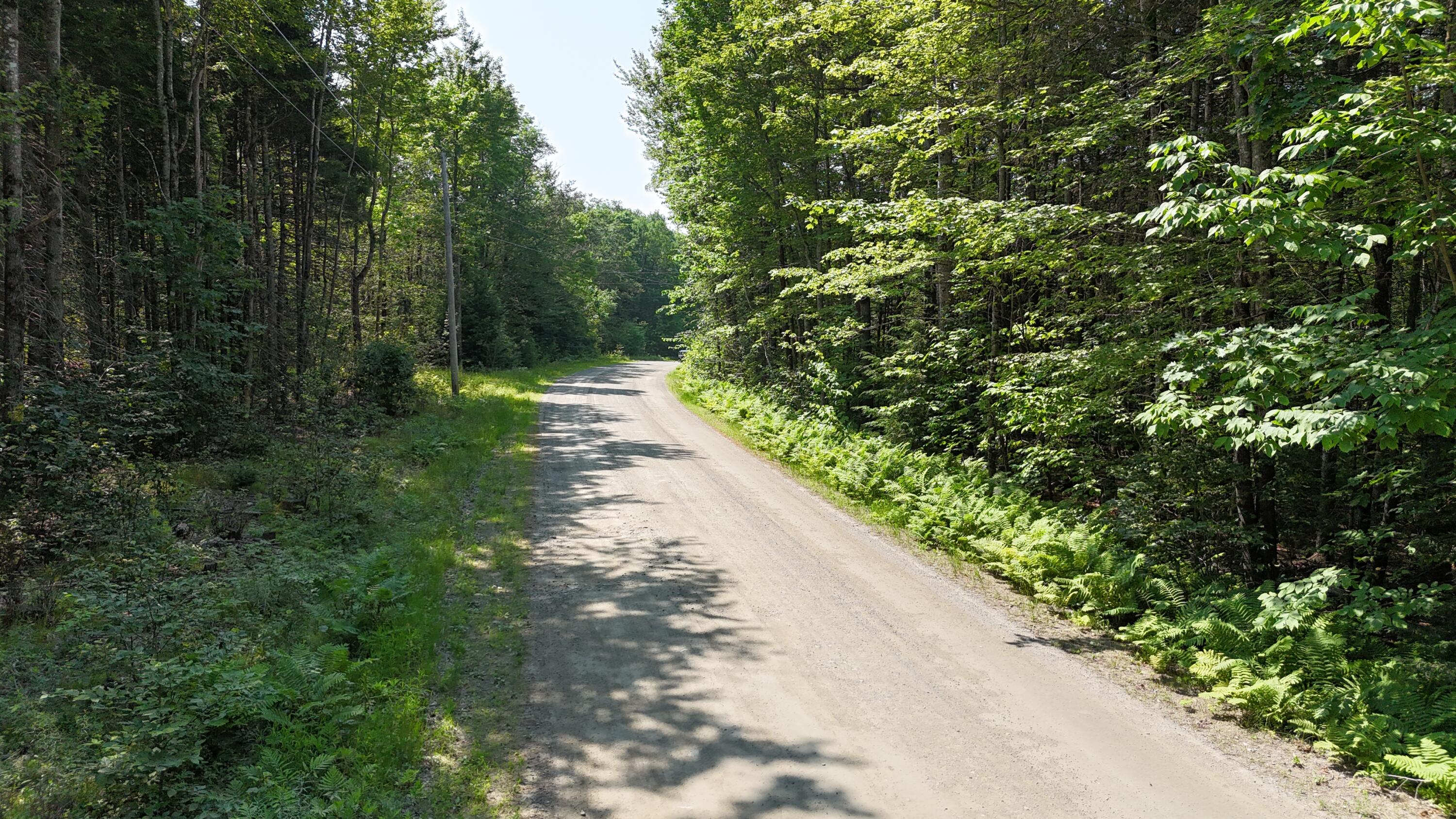 Lot 22-03 Vigue Road Hartland, ME 04943 - Photo 9 of 10 DJI_20250716110448_0925_D