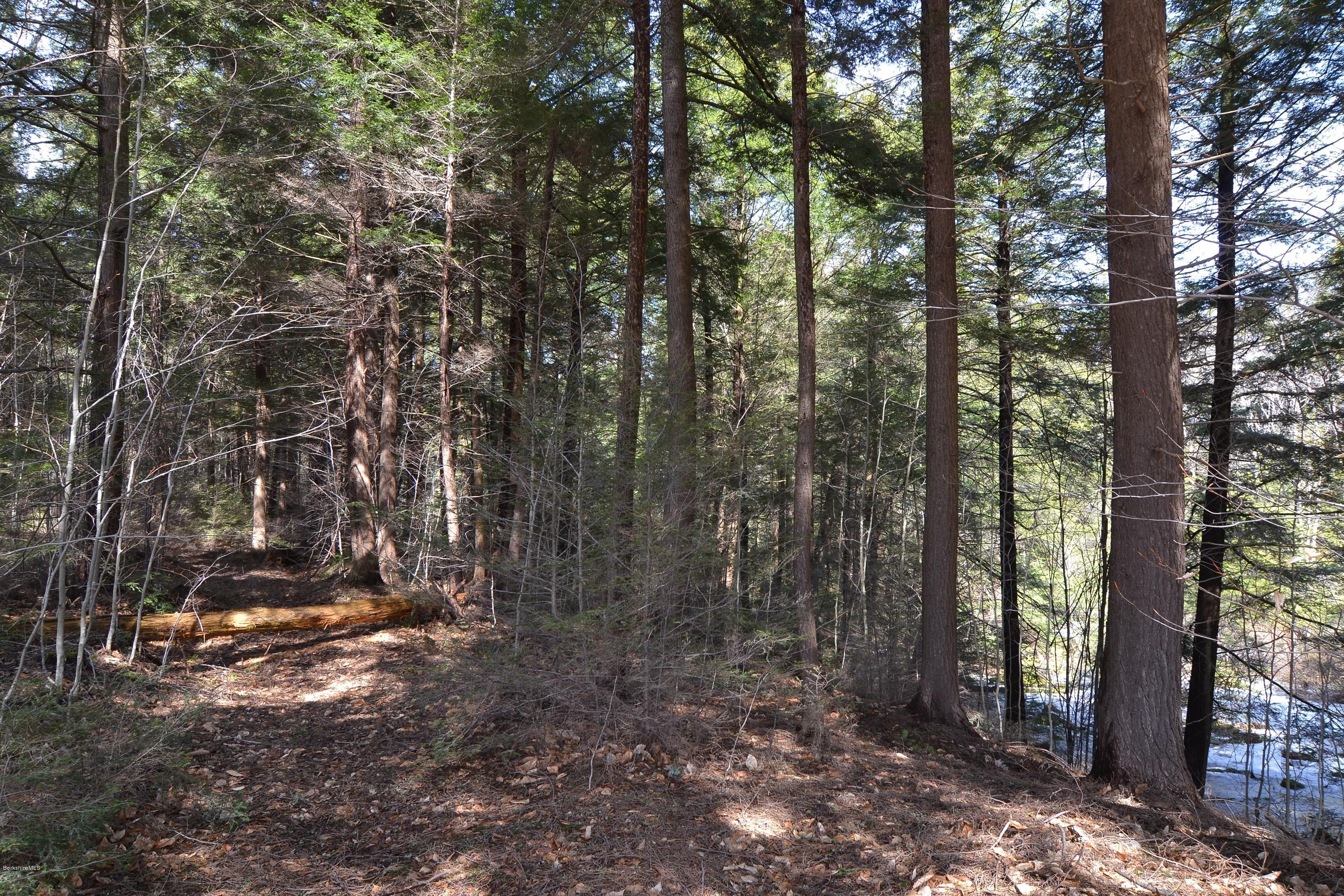 3008 Jacobs Ladder Road Becket, MA 01223 - Photo 27 of 28 a view of outdoor space and trees