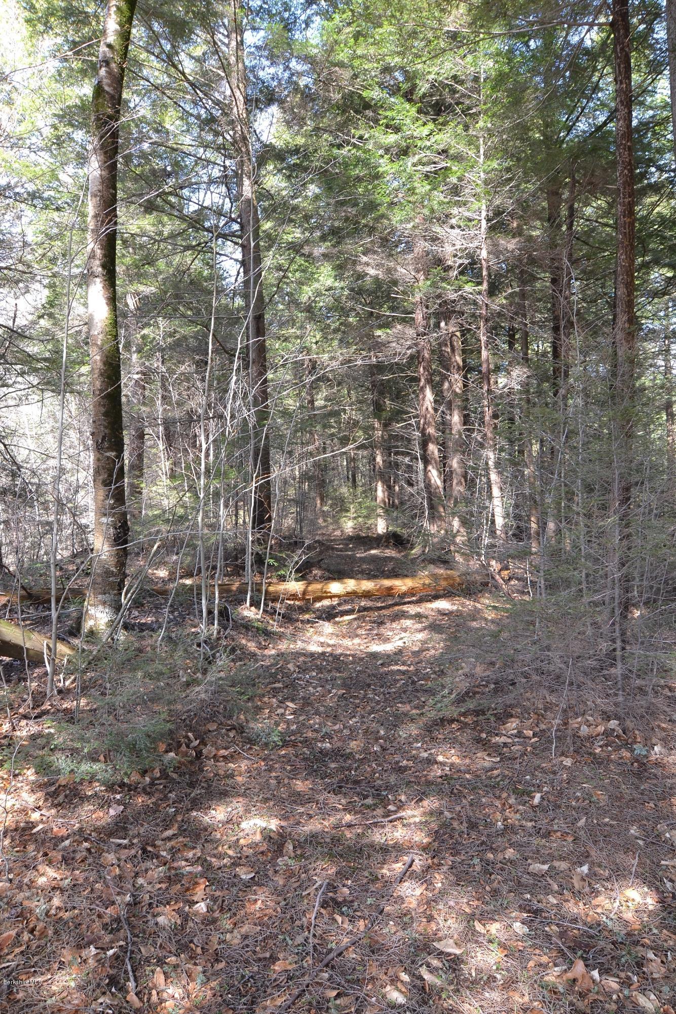 3008 Jacobs Ladder Road Becket, MA 01223 - Photo 28 of 28