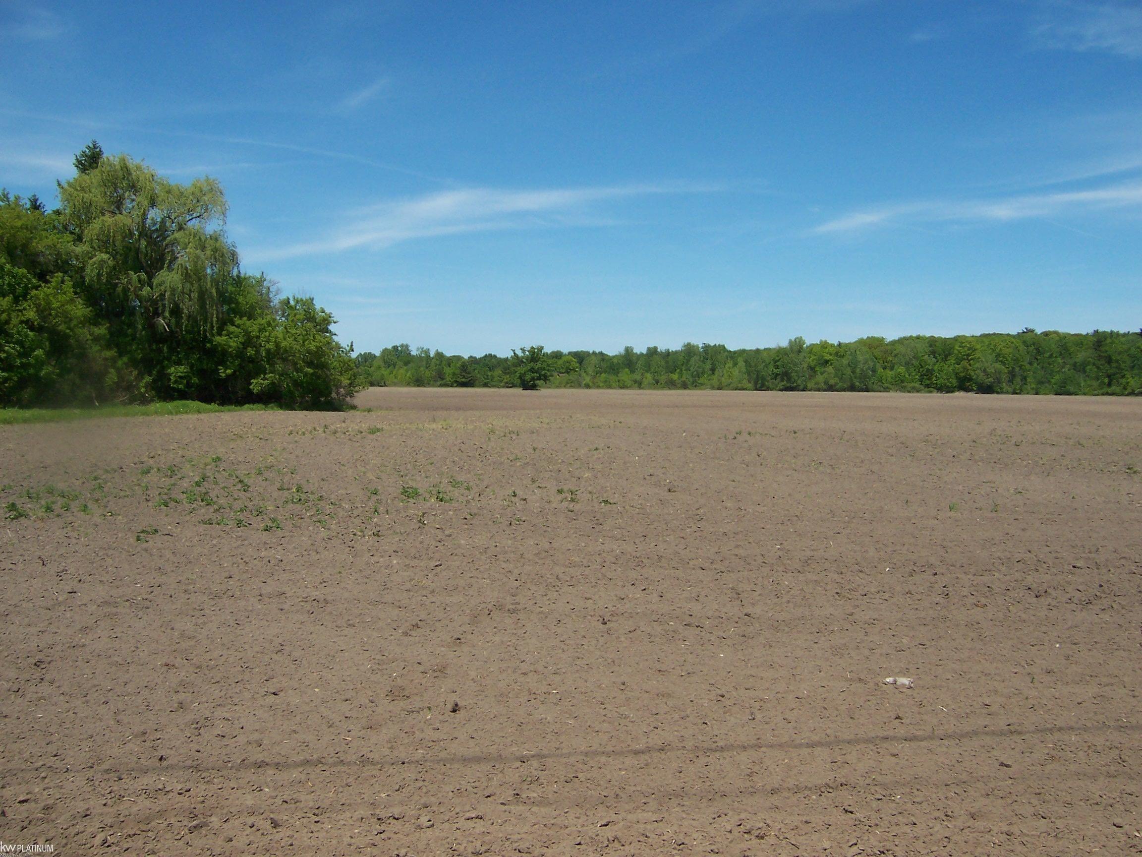 Lot 3 Lapeer Road Smiths Creek, MI 48074 - Photo 2 of 2
