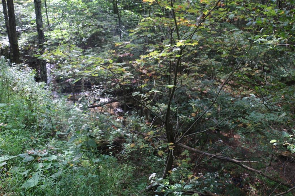 0 Lambsburg Road, Unit 24 AC Fancy Gap, VA 24328 - Photo 11 of 21 Gallery Image 11
