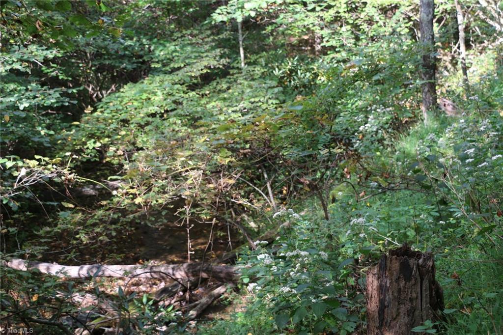 0 Lambsburg Road, Unit 24 AC Fancy Gap, VA 24328 - Photo 12 of 21 Gallery Image 12
